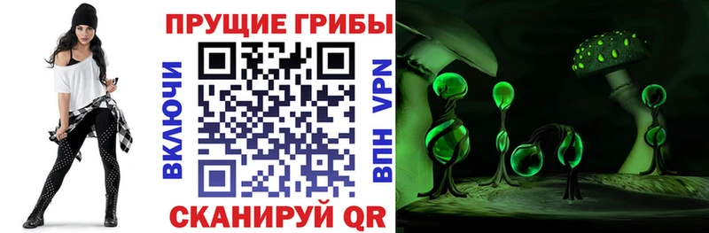 Псилоцибиновые грибы GOLDEN TEACHER Ижевск